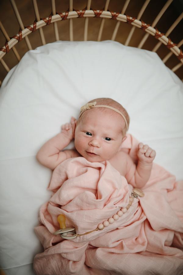 The Cloth Nappy Company Malta Mushie Muslin Swaddle Organic Cotton Baby Soft Present Gift