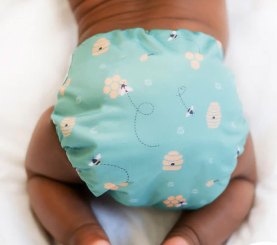 The Cloth Nappy Company La Petite Ourse All in One Nappy hive